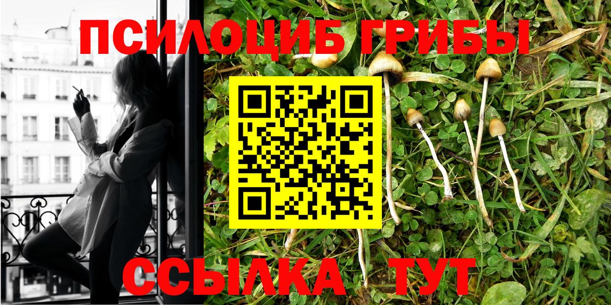 закладка  Псилоцибиновые грибы Magic Shrooms  Волжский  Вход с VPN  Псилоцибиновые грибы ЛСД 