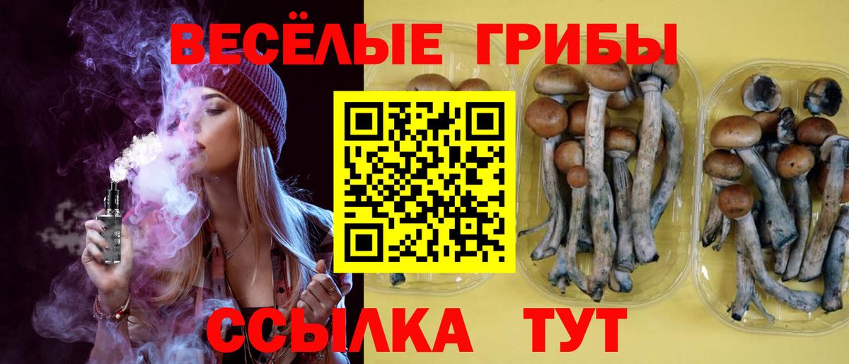 Псилоцибиновые грибы Psilocybine cubensis Волжский